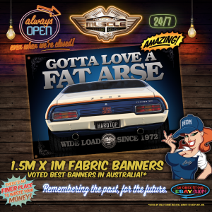 JOHN GOSS FALCON HARDTOP