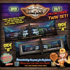 FORD FALCON ANGRY BIRDS