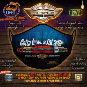 FALCON HARD TOP FACE MASK